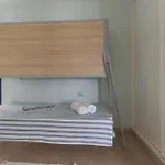 Appartement Merlin 1-1 *